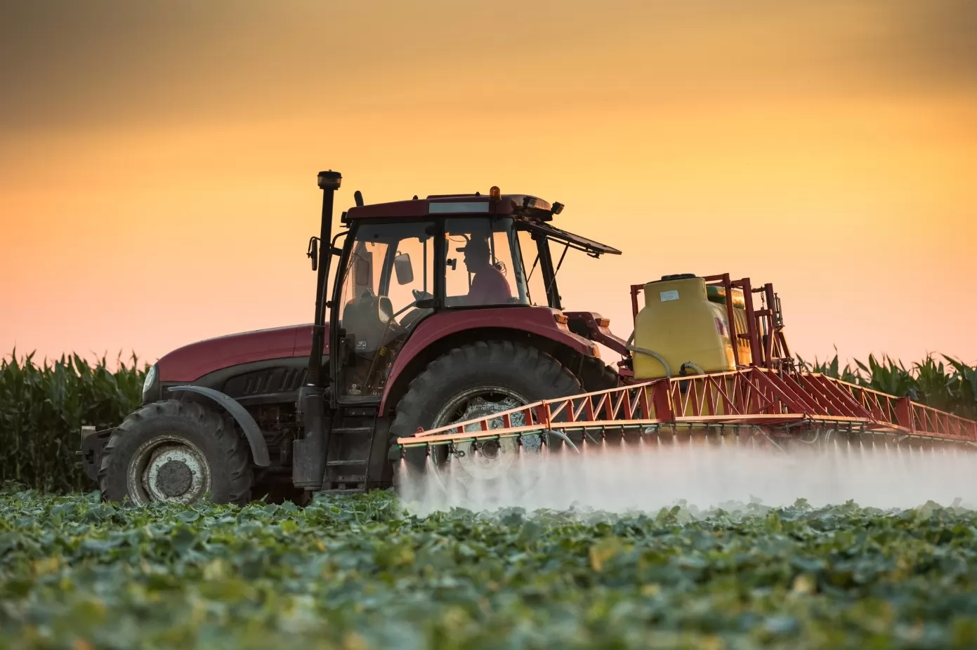 Un estudio demuestra que la exposición a pesticidas aumenta el riesgo de padecer un ACV